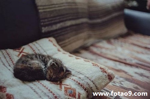 梦见前男友打自己喜欢的是