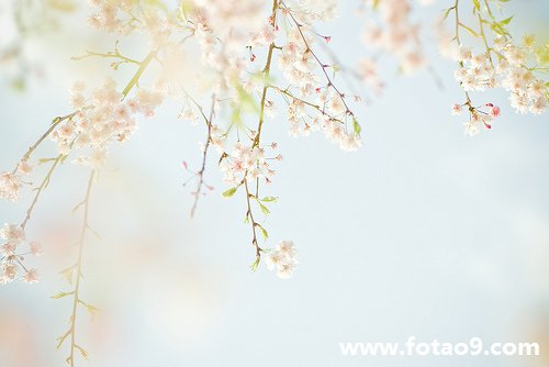 <em>梦见</em>自己右侧<em>头发没了</em>一块_周公解梦查询_佛