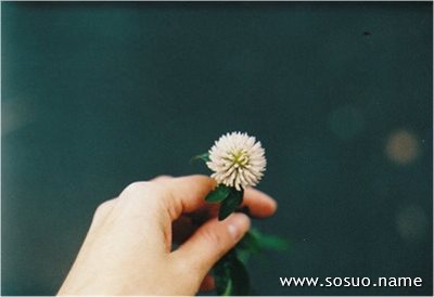 梦见下牙松动掉了几颗没出血,梦境背后的深层解析与心理启示 梦见下牙松动掉了几颗没出血,梦境背后的深层解析与心理启示