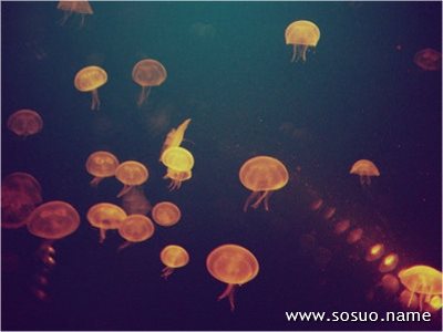 <em>梦见头发变</em>成蛇_周公解梦查询_佛滔算命网