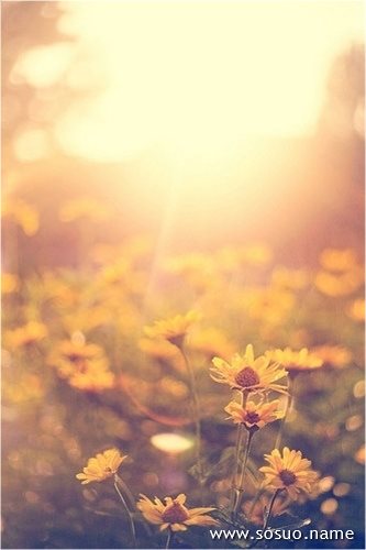 梦境迷雾，探索梦见多年死去的人追杀的心理奥秘