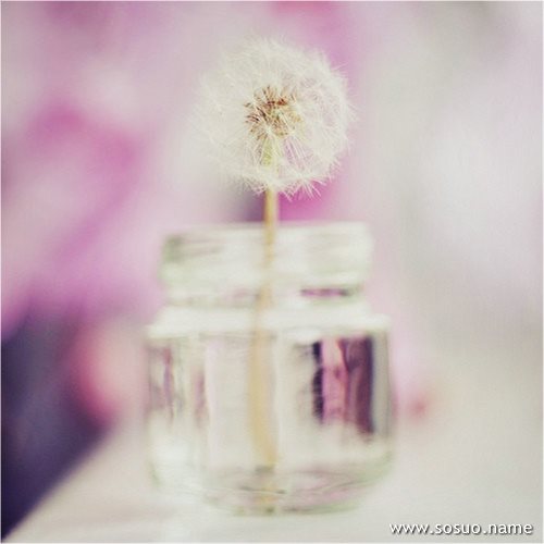 <em>梦见</em>梦掉猪粪坑里_周公解梦查询_佛滔算命网