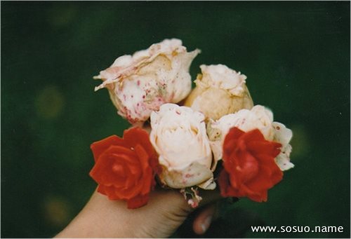 <em>梦见</em>死去的人的<em>人头</em>落地_周公解梦查询_佛滔