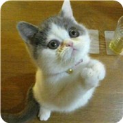 你能原谅恋人多少次?