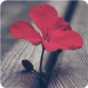 测你现在是生存还是生活?