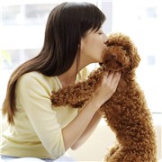 哪种宠物适合你来养