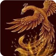 测试你会麻雀变凤凰吗?