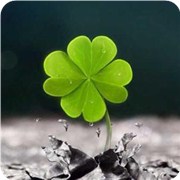 测你近期有什么好运