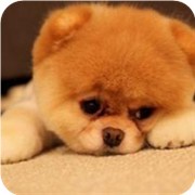 你纠结症是否依然那么严重