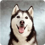 你是容易犯二的人吗
