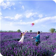 你的幸福感会因什么而打折