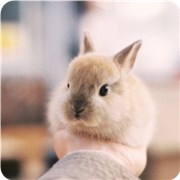 测看你具备哪种萌宠属性