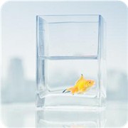 测试你的人生有多少福分