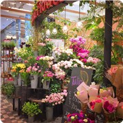创业你适合开什么店