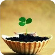 你们的爱缺什么养分
