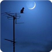 测试你的夜猫子指数