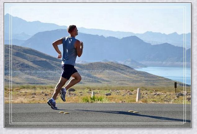 周公解梦，梦见几条蛇边走边看——寓意与解析的深度探索