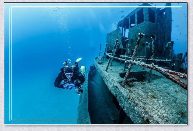 跨越彼岸的馈赠，梦见已故亲人赠梨之谜