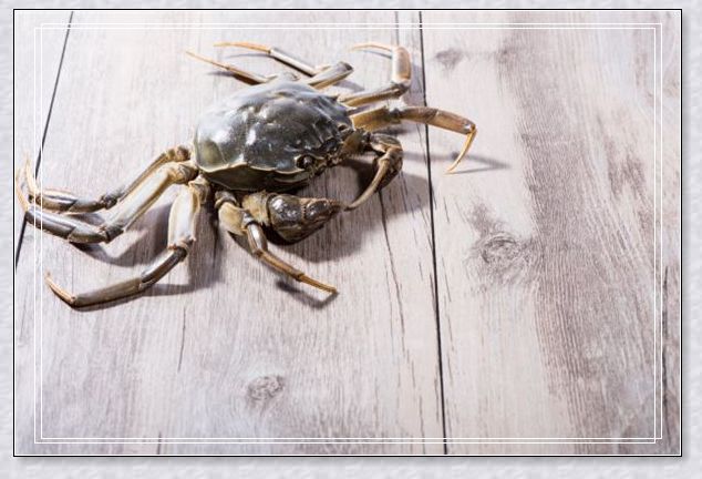 做梦梦见有人当着我的面死了，这是好兆头还是坏兆头？