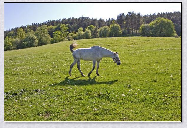 梦境之争，解析梦见和哥哥吵架的深层含义