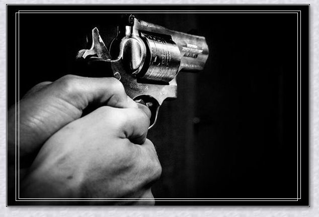 早上梦见两条蛇和狗打架-梦见蛇和狗打架 _感