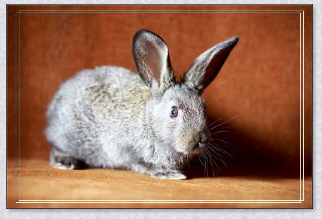 <em>梦见自己剪头发</em>_梦境百科_佛滔算命网