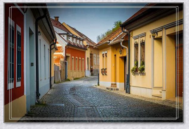 梦之蜇，解析梦见被蜜蜂蜇的深层含义与心理暗示