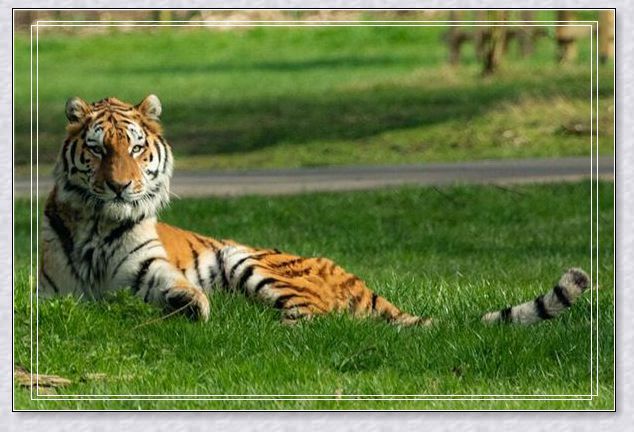 梦见雷鸣闪电狂风暴雨好不好?_梦境百科_佛滔