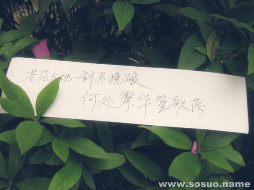 杨幂写下的话