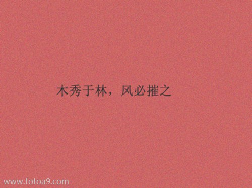 马世泽的姓名测试报告_姓名测试_佛滔算命网