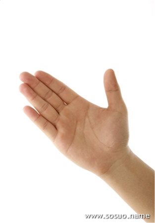 佛滔讲堂  掌丘是在手掌上凸出或隆起的肉垫,称为丘或陵,其形状有点象