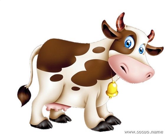 十二生肖2014年幸运色—牛