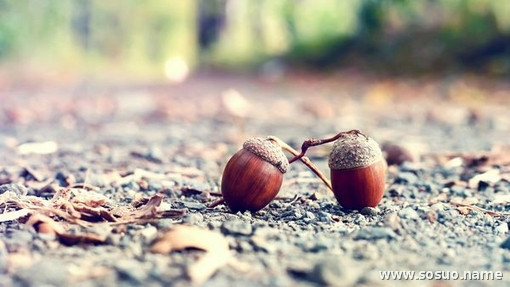 �μ�ģ����Ӱ��,�����μ�ģ����Ӱ��