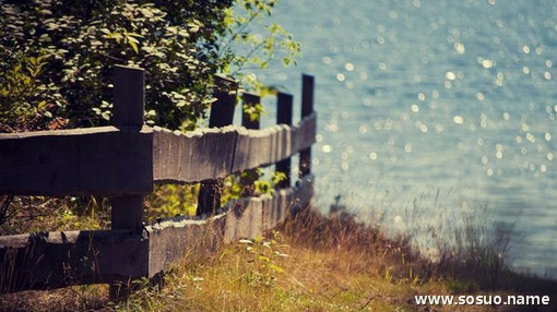 �μ�Ż������,�����μ�Ż������