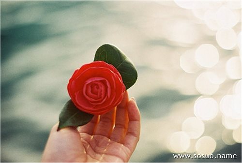 �μ��˸�,�����μ��˸�