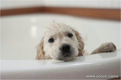 �μ�Ϊʲô����������,�����μ�Ϊʲô����������