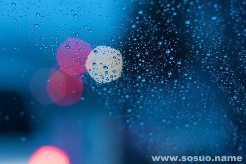 �μ���ţ��,�����μ���ţ��