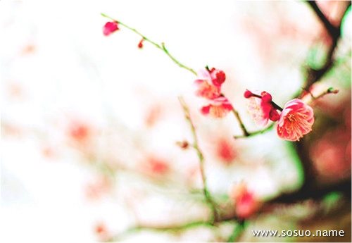 �μ��и���ʶ����׷,�����μ��и���ʶ����׷