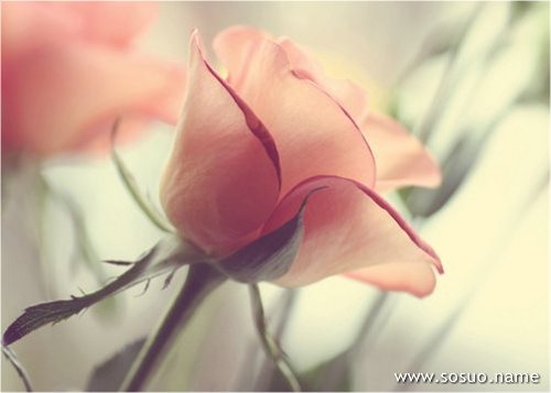 �μ��Լ��ں�����Ϸ,�����μ��Լ��ں�����Ϸ
