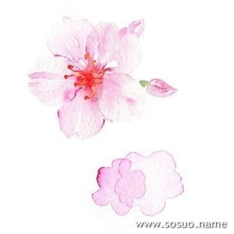 �μ�ϲ�����˴�Ӧ���Լ��ı���,�����μ�ϲ�����˴�Ӧ���Լ��ı���