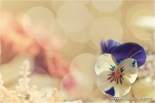 �μ���������ô��,�����μ���������ô��