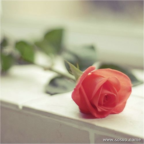 �μ����˳���,�����μ����˳���