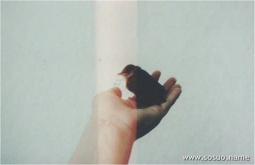 �μ����˲���,�����μ����˲���