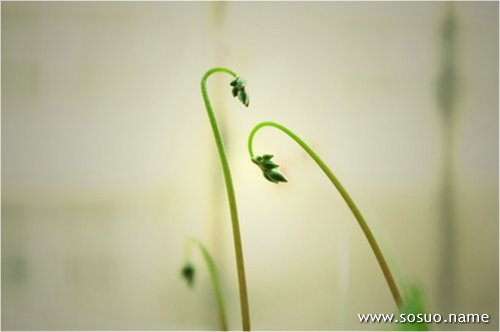 �μ��ʹ������ܽӴ�,�����μ��ʹ������ܽӴ�
