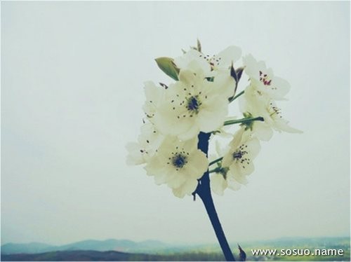�μ��ı���,�����μ��ı���