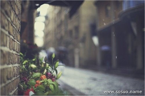 �μ���Ů��˯����,�����μ���Ů��˯����