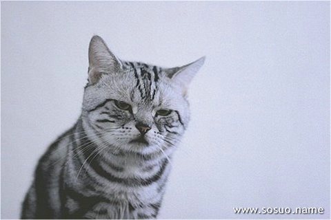 �μ���������̨�ϱ���ò,�����μ���������̨�ϱ���ò