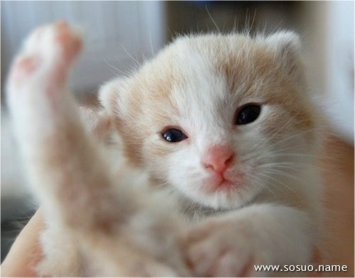 �μ������ѹ�ĸ�׽��Ҽ�,�����μ������ѹ�ĸ�׽��Ҽ�