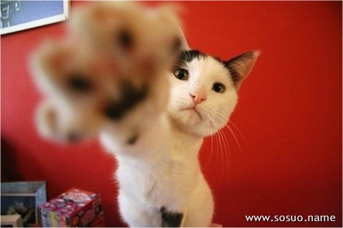 �μ��Ա���ʾ��,�����μ��Ա���ʾ��