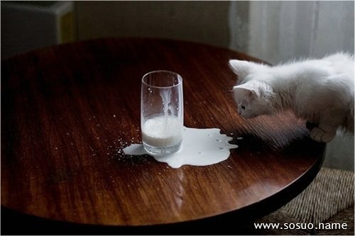 �μ����˿��������Լ�����ָ,�����μ����˿��������Լ�����ָ